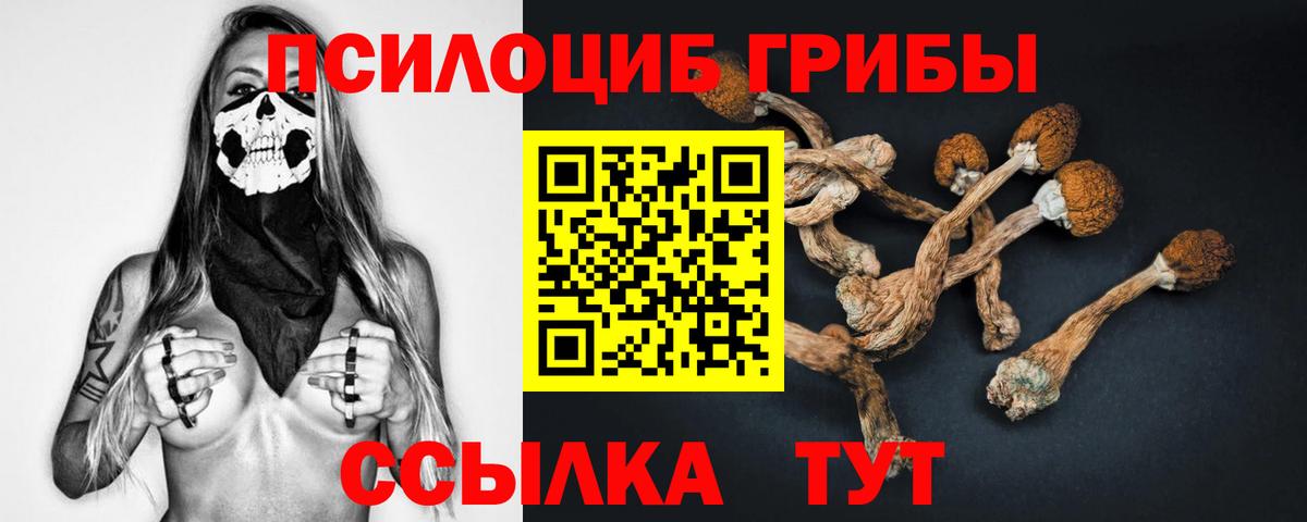 Галлюциногенные грибы GOLDEN TEACHER  Вход с VPN  Галлюциногенные грибы GOLDEN TEACHER  Усть-Джегута 